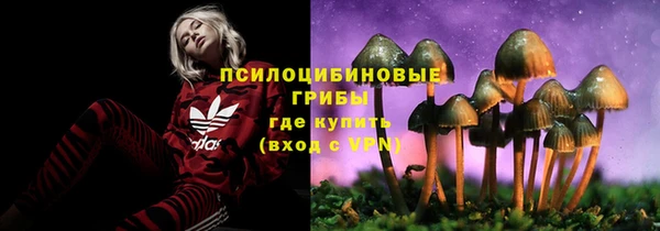 apvp Каменск-Шахтинский