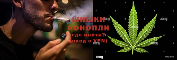 spice Каменка
