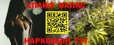 шишки Партизанск