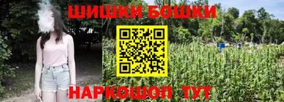 шишки Партизанск
