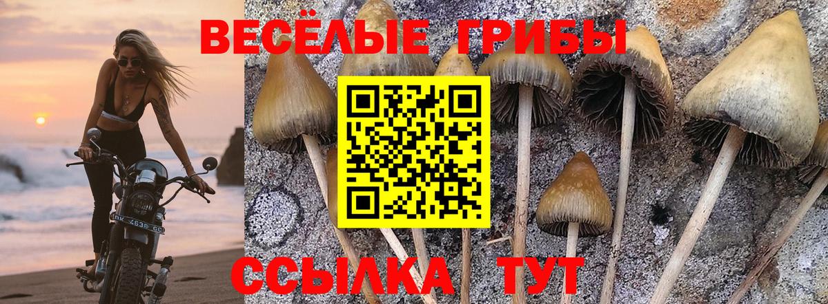 Псилоцибиновые грибы Magic Shrooms Медногорск