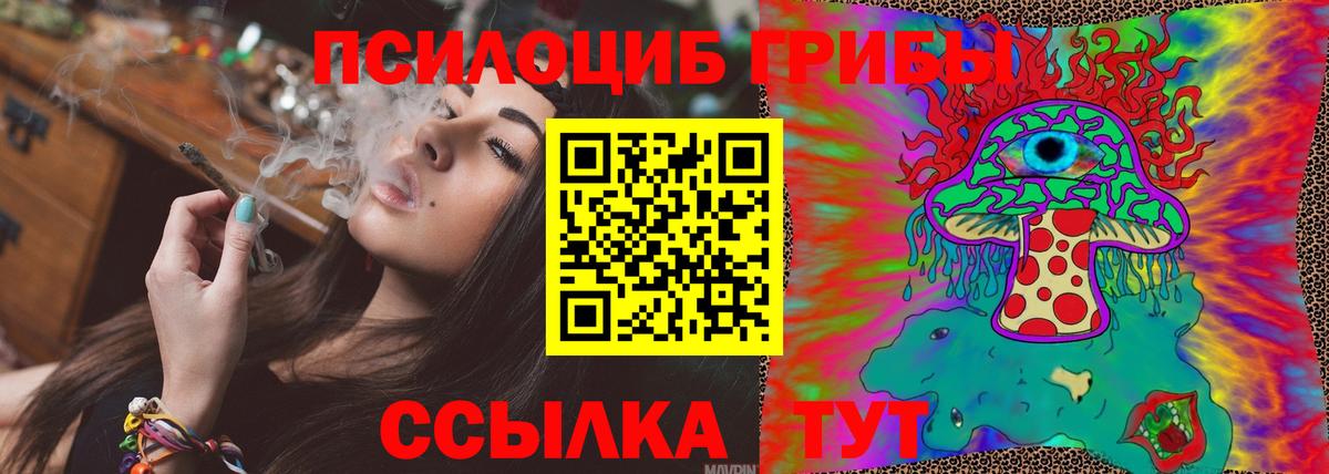Медногорск  Псилоцибиновые грибы Cubensis  Галлюциногенные грибы мицелий  как найти   Вход с VPN 