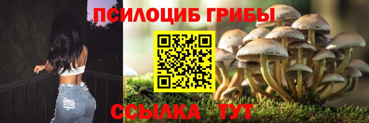 Медногорск  Псилоцибиновые грибы Magic Shrooms  Галлюциногенные грибы мухоморы  где найти   Вход с VPN 